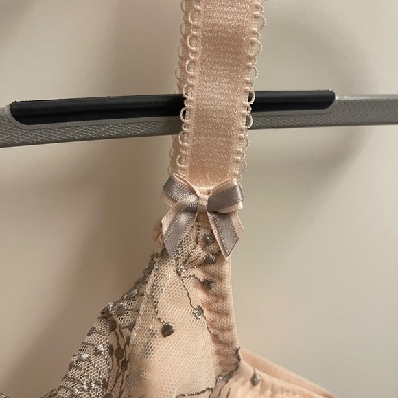 Fit Fully Yours Lingerie: Cloud Pink Nicole Sheer Lace Bra (US 34G) - Picture 5 of 8